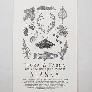 Alaska Field Guide, The Wild Wander Flora & Fauna of Alaska
